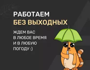 Работаем без выходных и вечером | SKOGGy