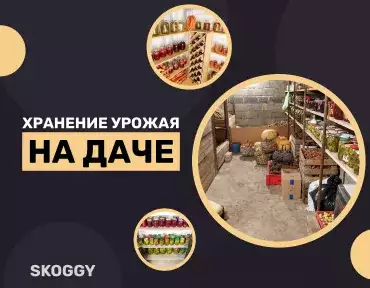 Хранение урожая на даче: какое помещение выбрать Хранение урожая на даче: какое помещение выбрать
