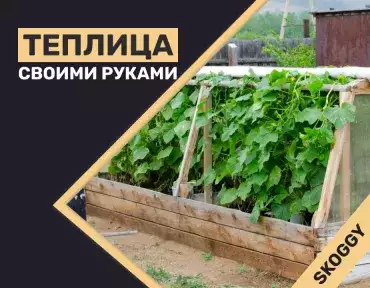 Теплица своими руками Теплица своими руками