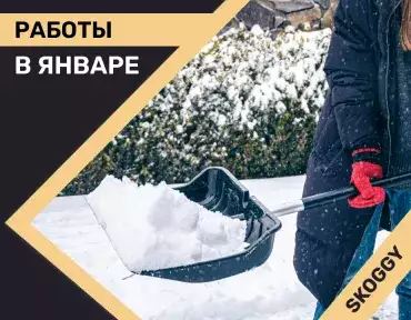 Работы на даче в январе Работы на даче в январе