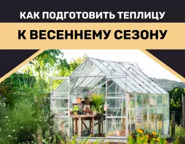Подготовка теплицы к весеннему периоду Подготовка теплицы к весеннему периоду