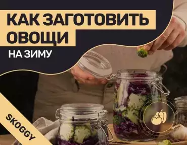 Как заготовить овощи на зиму: способы хранения урожая